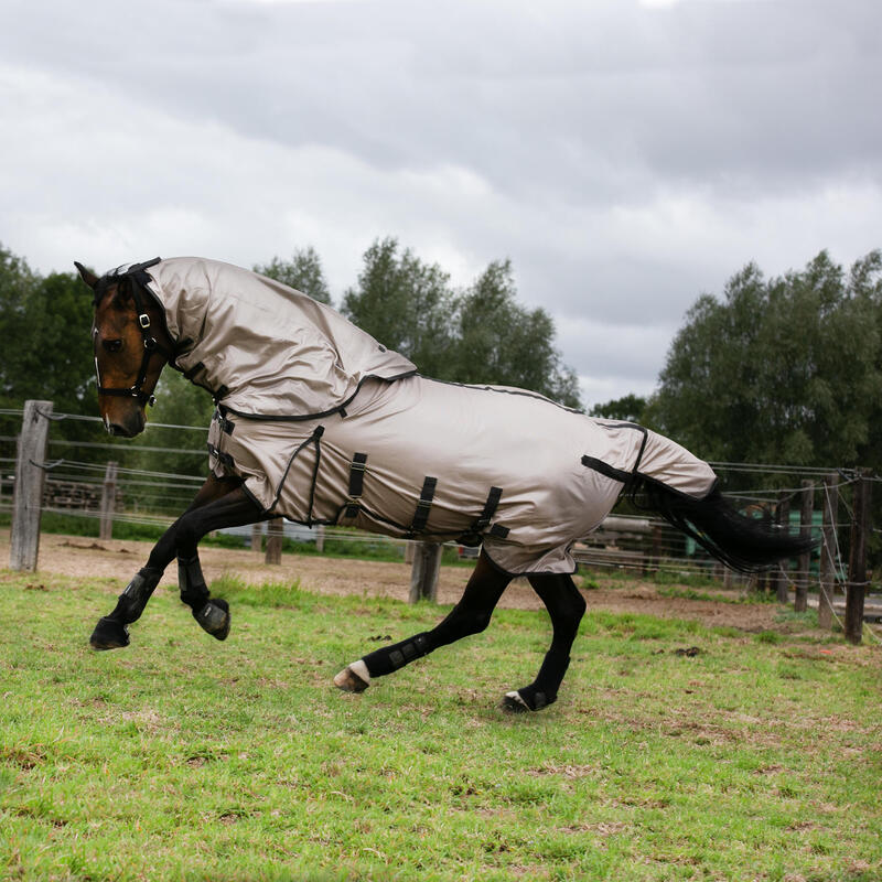 Coperta leggera antimosche equitazione pony e cavallo beige