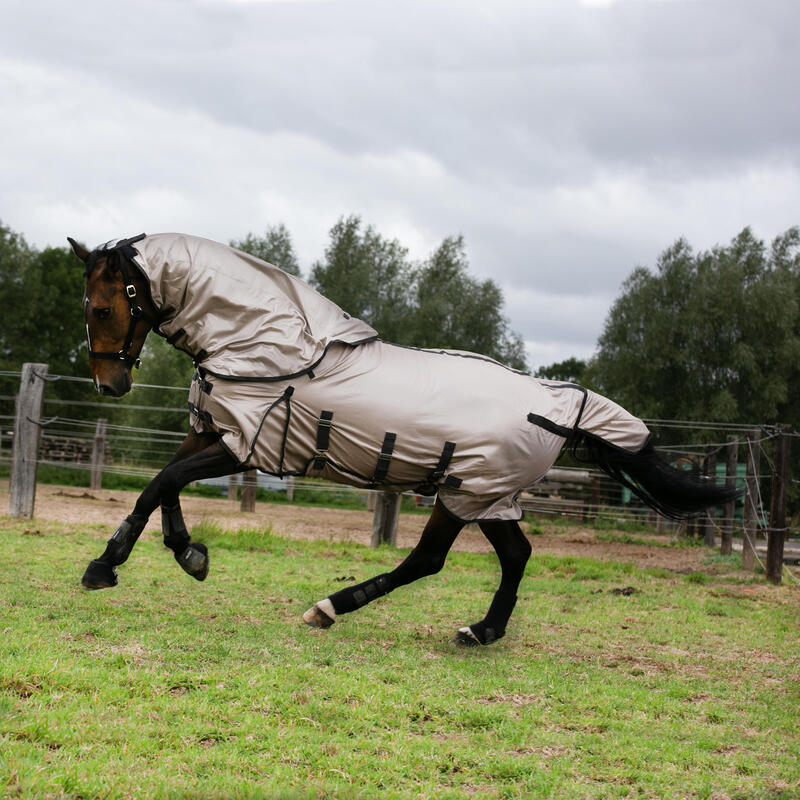 Pătură Protecţie Insecte echitație cai/ponei Bej 