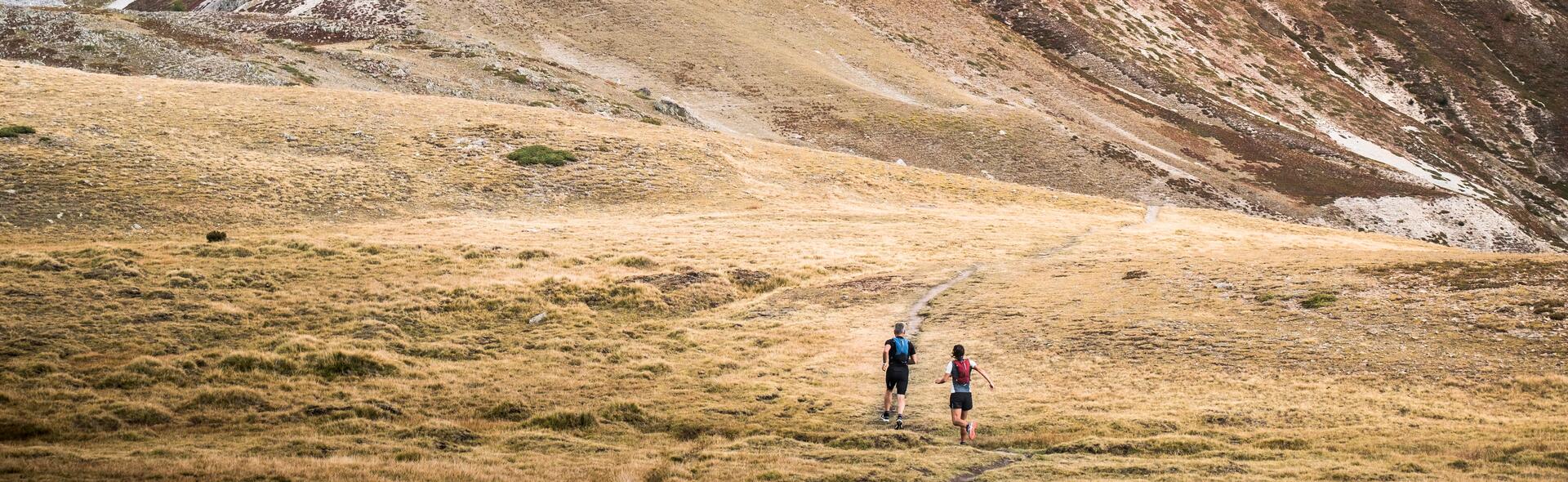 AS GRANDES ETAPAS DA EVOLUÇÃO EM TRAIL