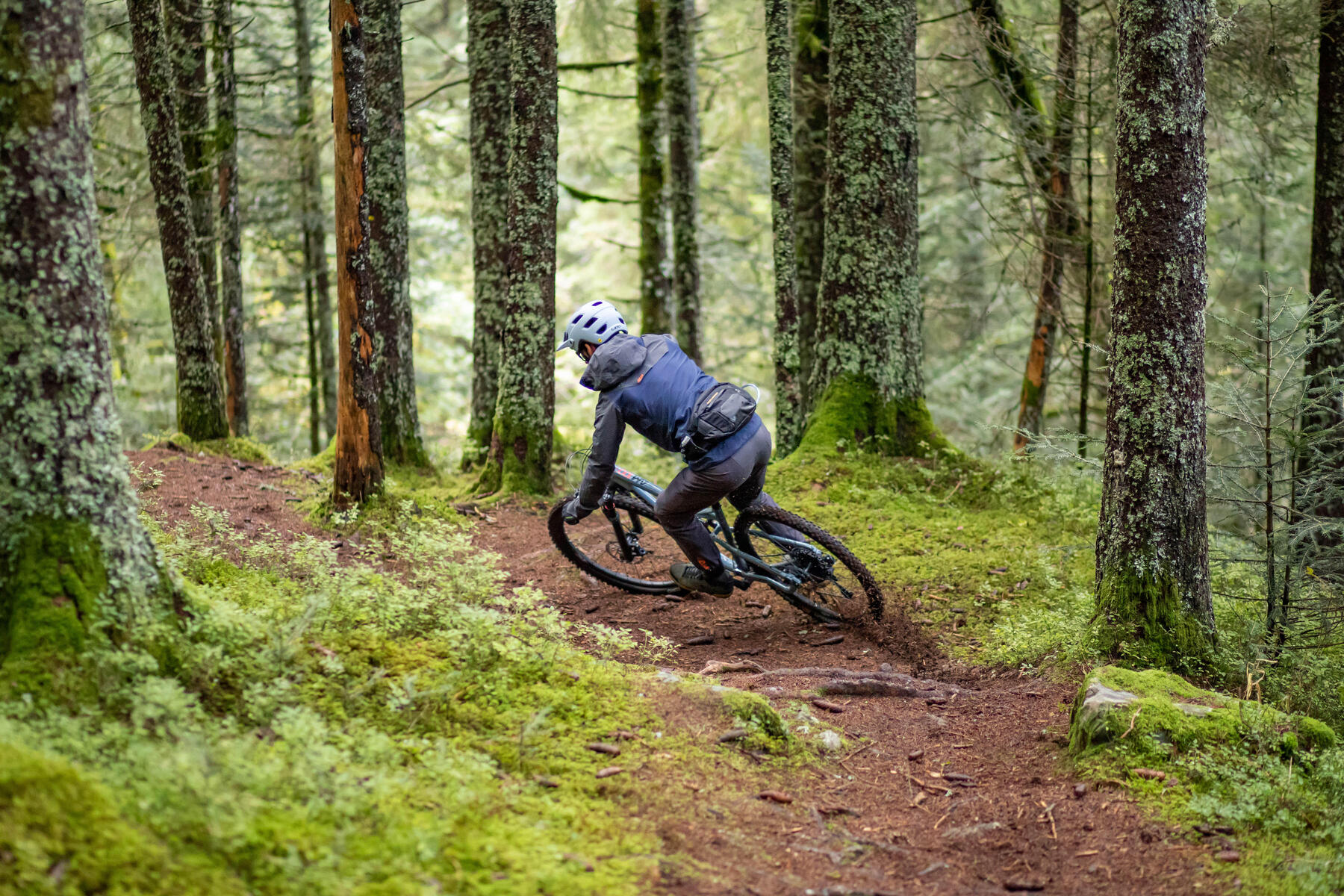 How To Choose a Mountain Bike : What Size Do I Need