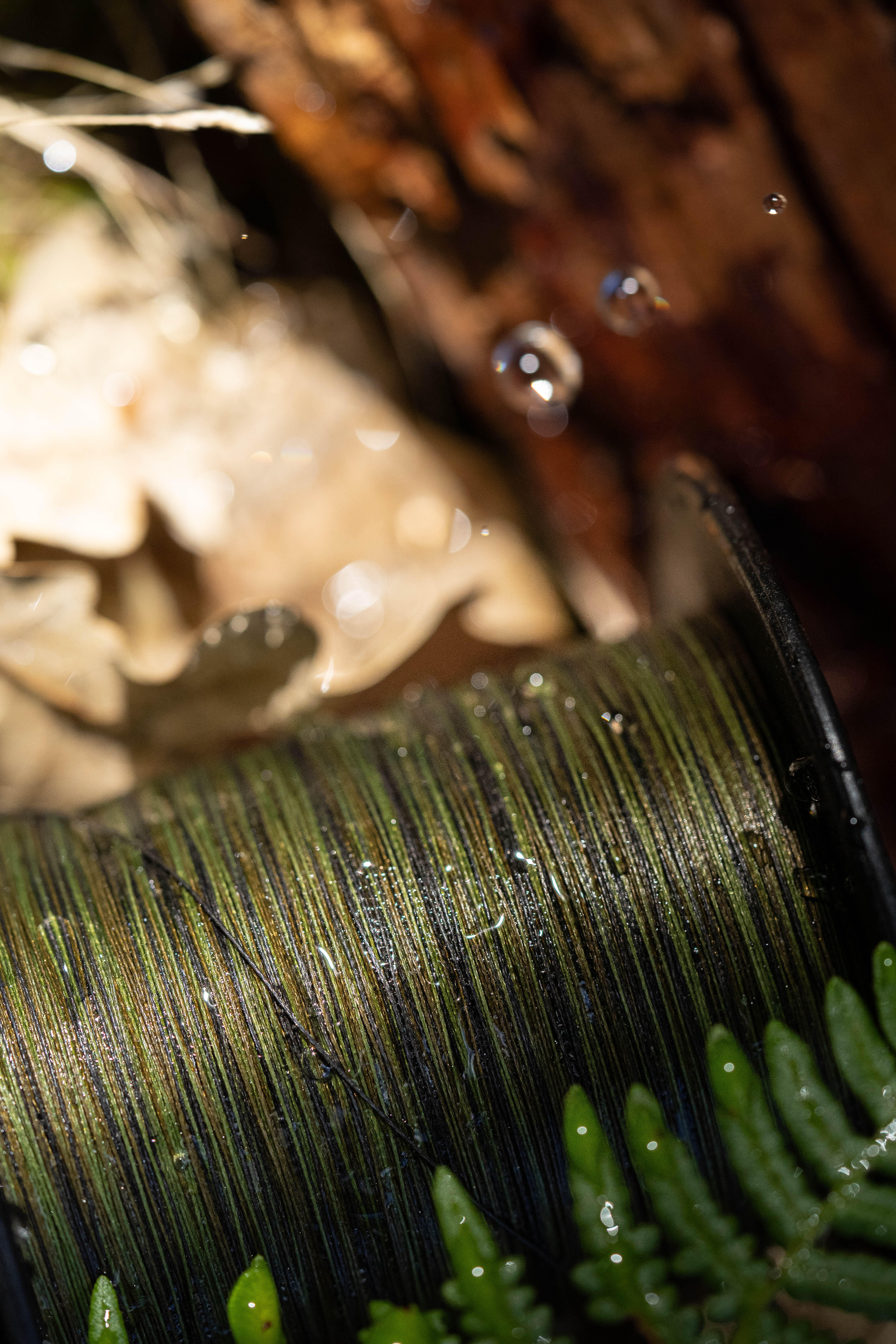 Carp Fishing Sinking Braid 30/100 350m - CAPERLAN
