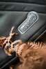 Сумка для карповой ловли темно-зеленая CARRYALL 900 Caperlan