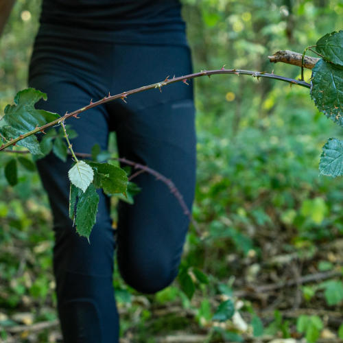 tights against brambles