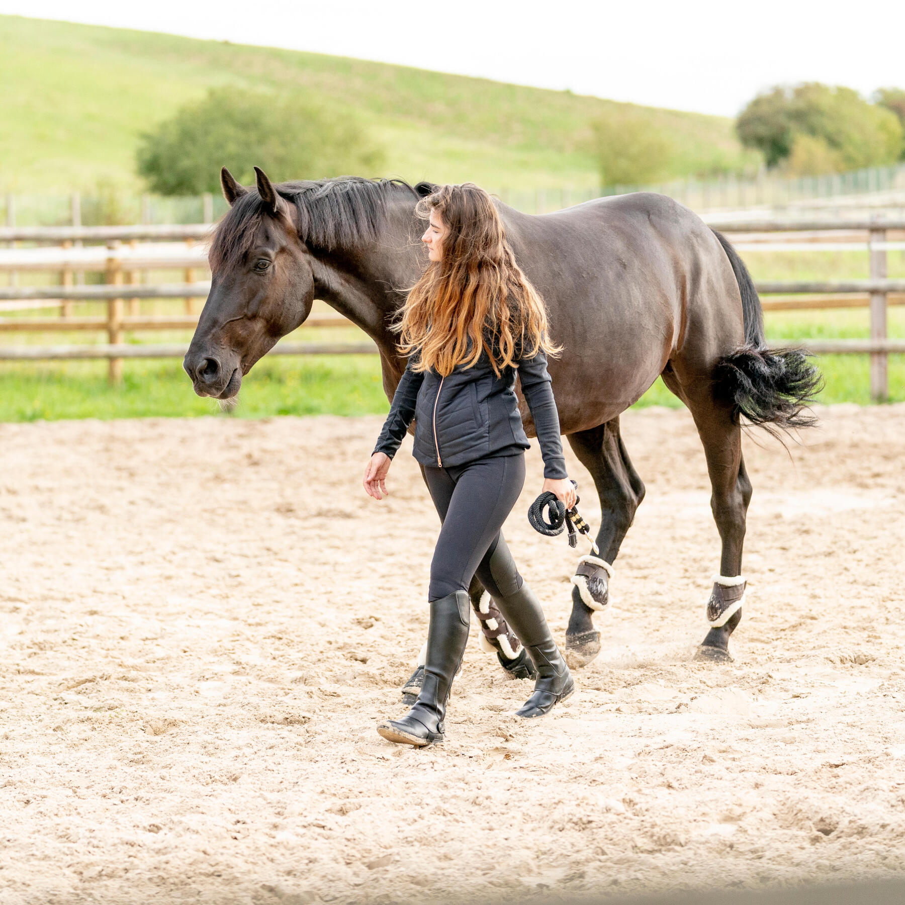 Le cheval, un sportif connecté ?