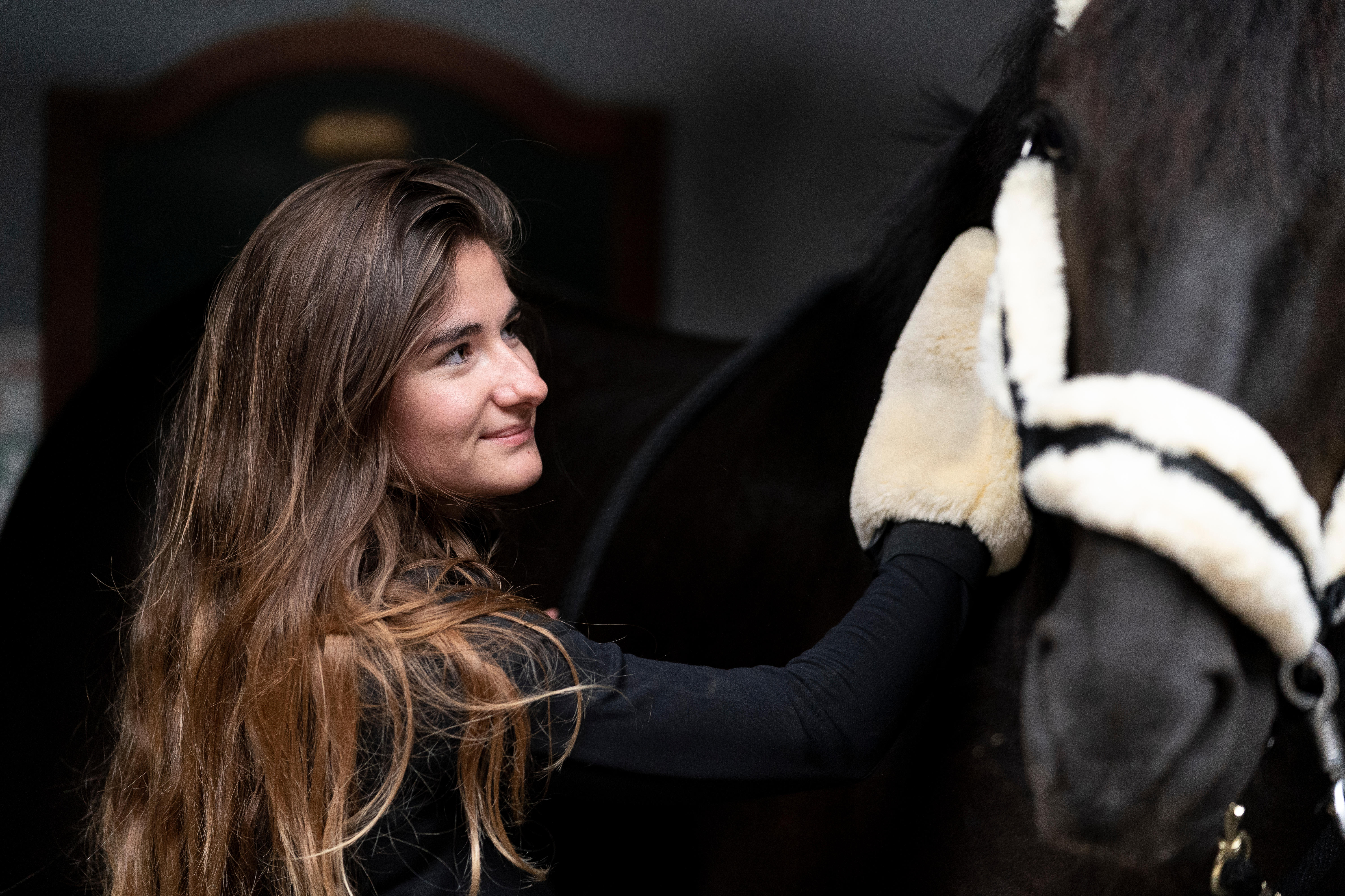 Licou d'équitation en mouton synthétique pour cheval - noir/beige - FOUGANZA