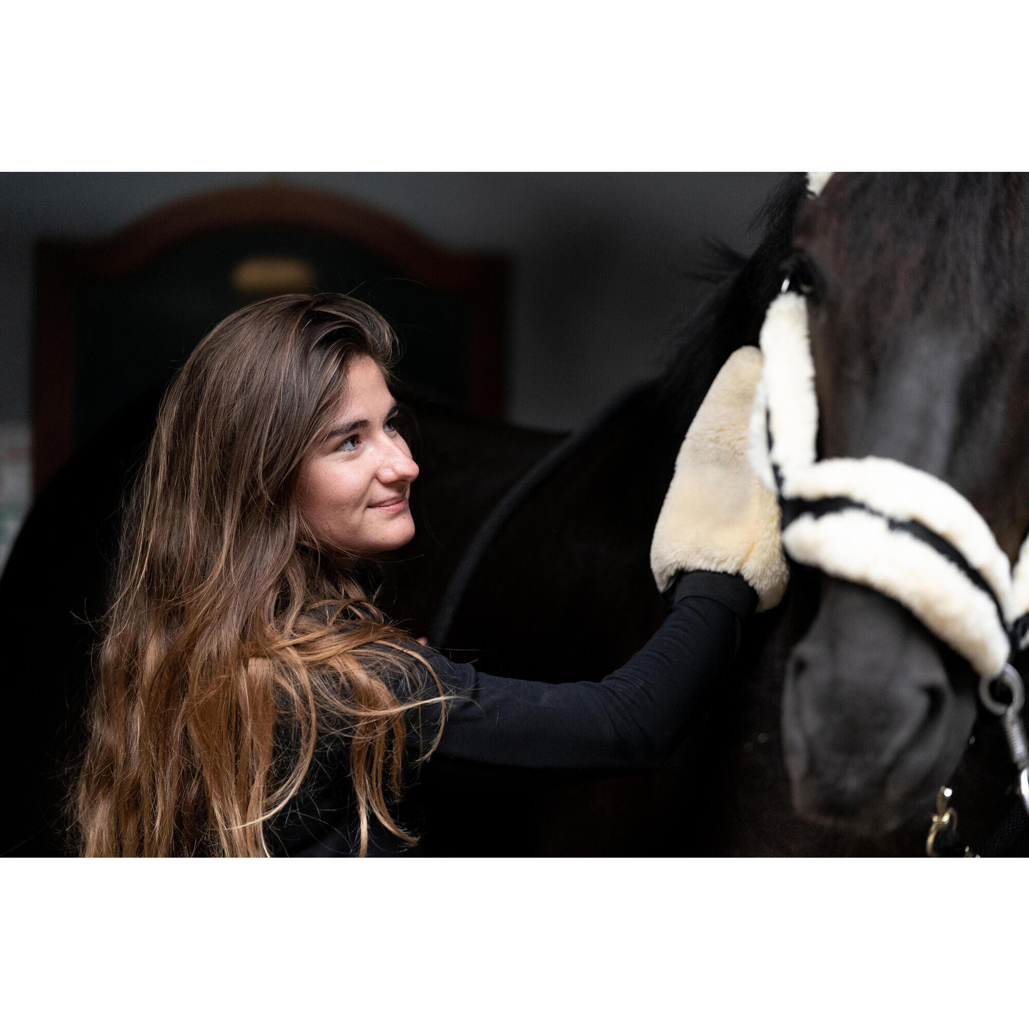 Horse riding halter in synthetic sheepskin - black and beige