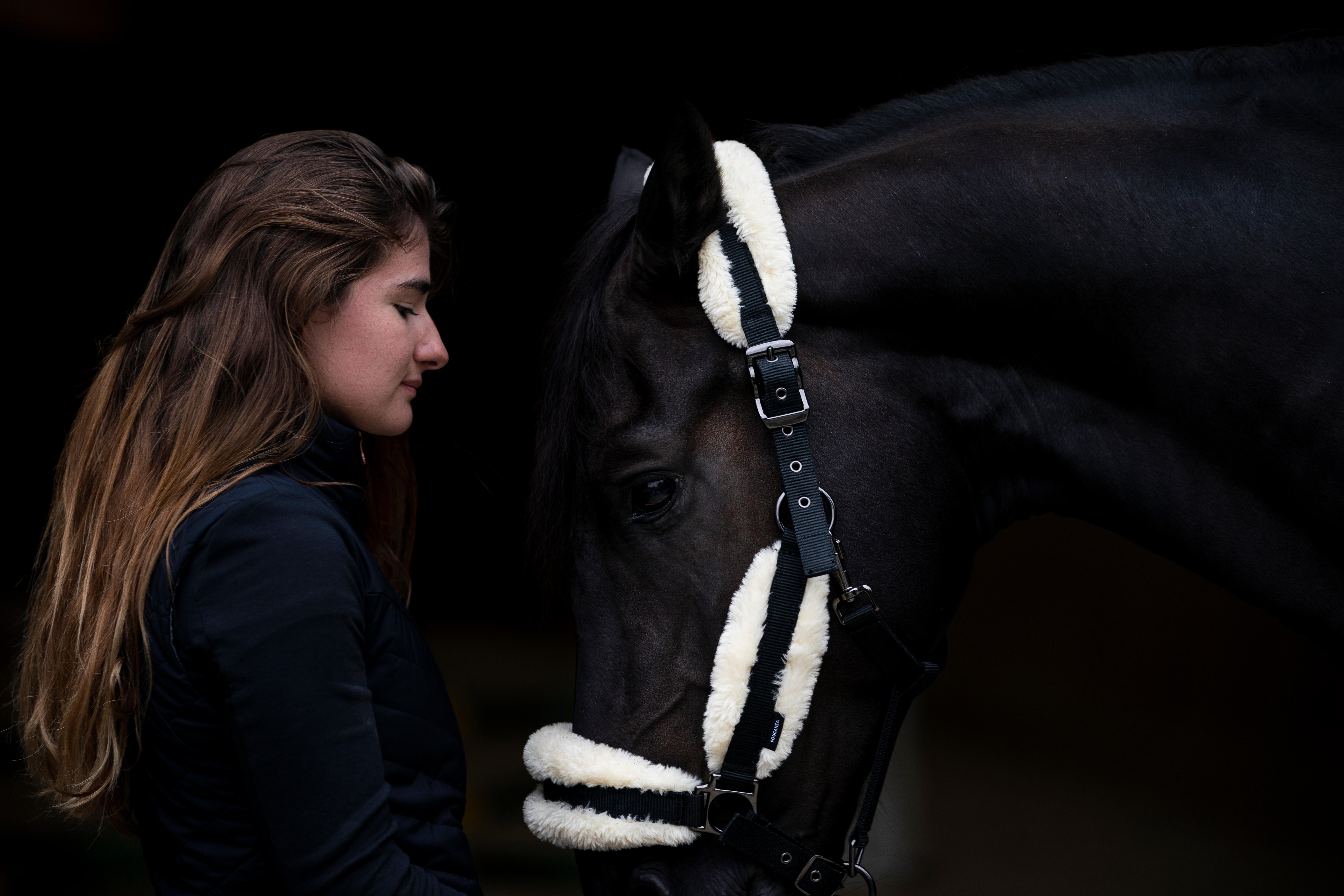 Licou d'équitation en mouton synthétique pour cheval - noir/beige - FOUGANZA