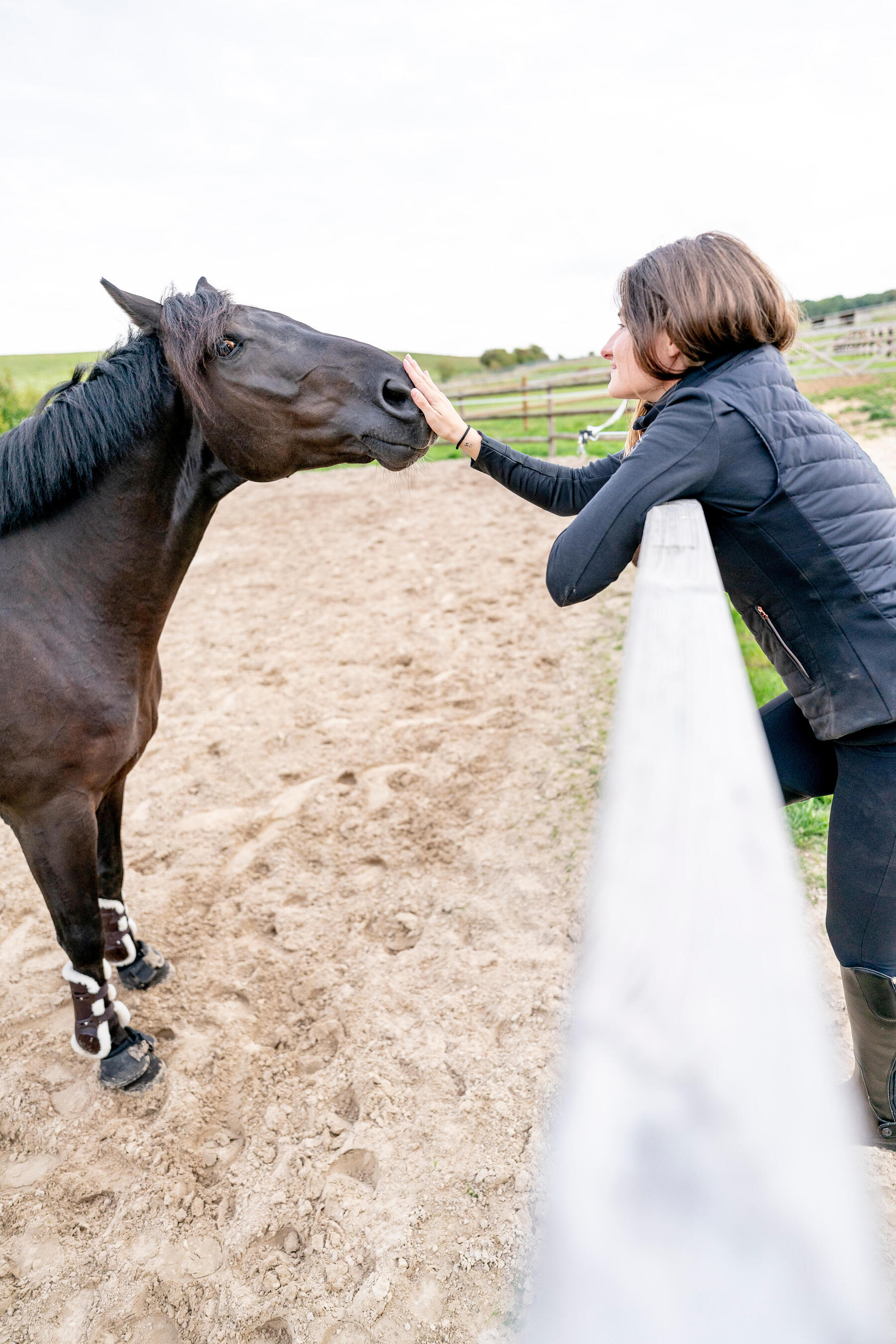 Paardensupplementen