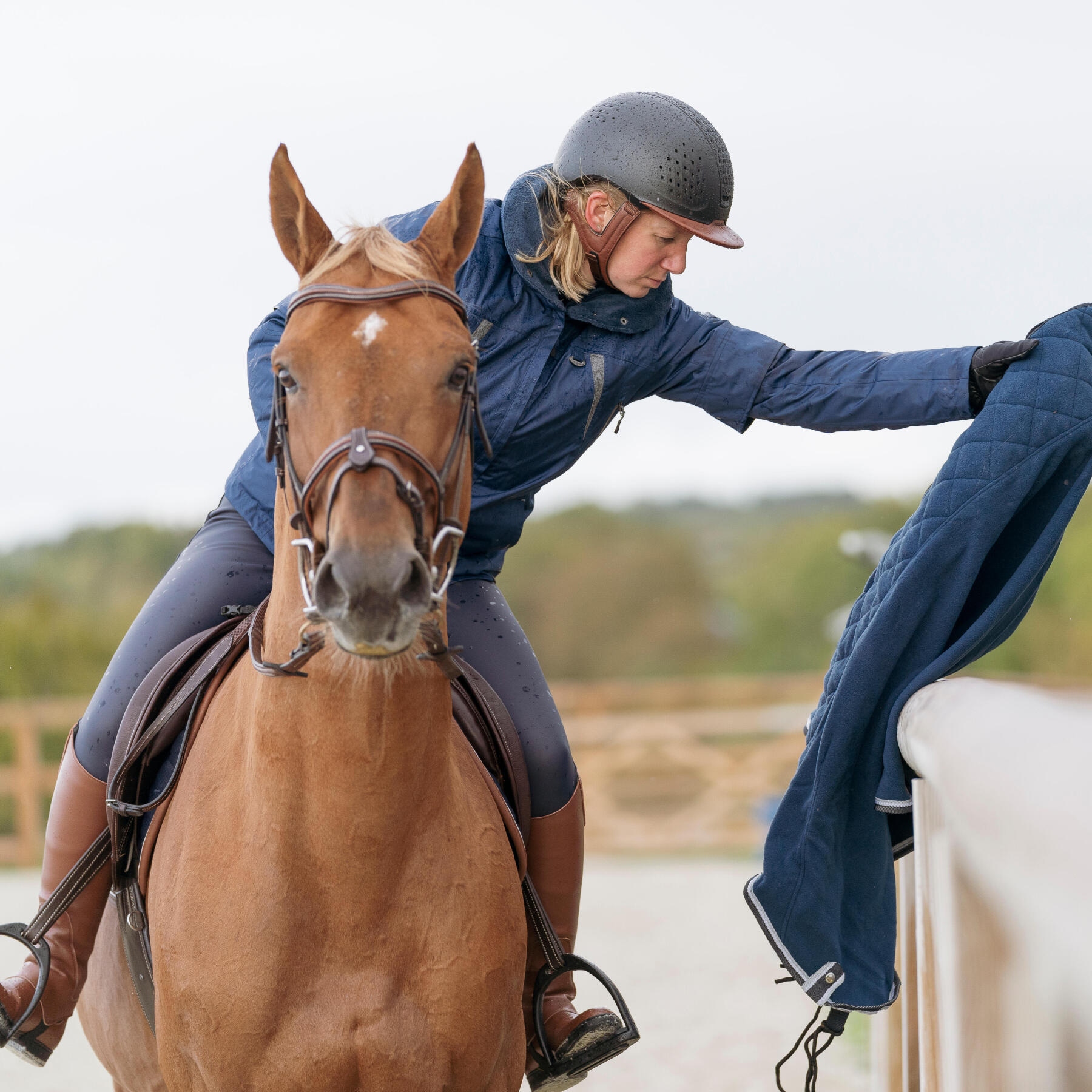 Cavalière qui retire le couvre rein de son cheval tondu après la détente en hiver