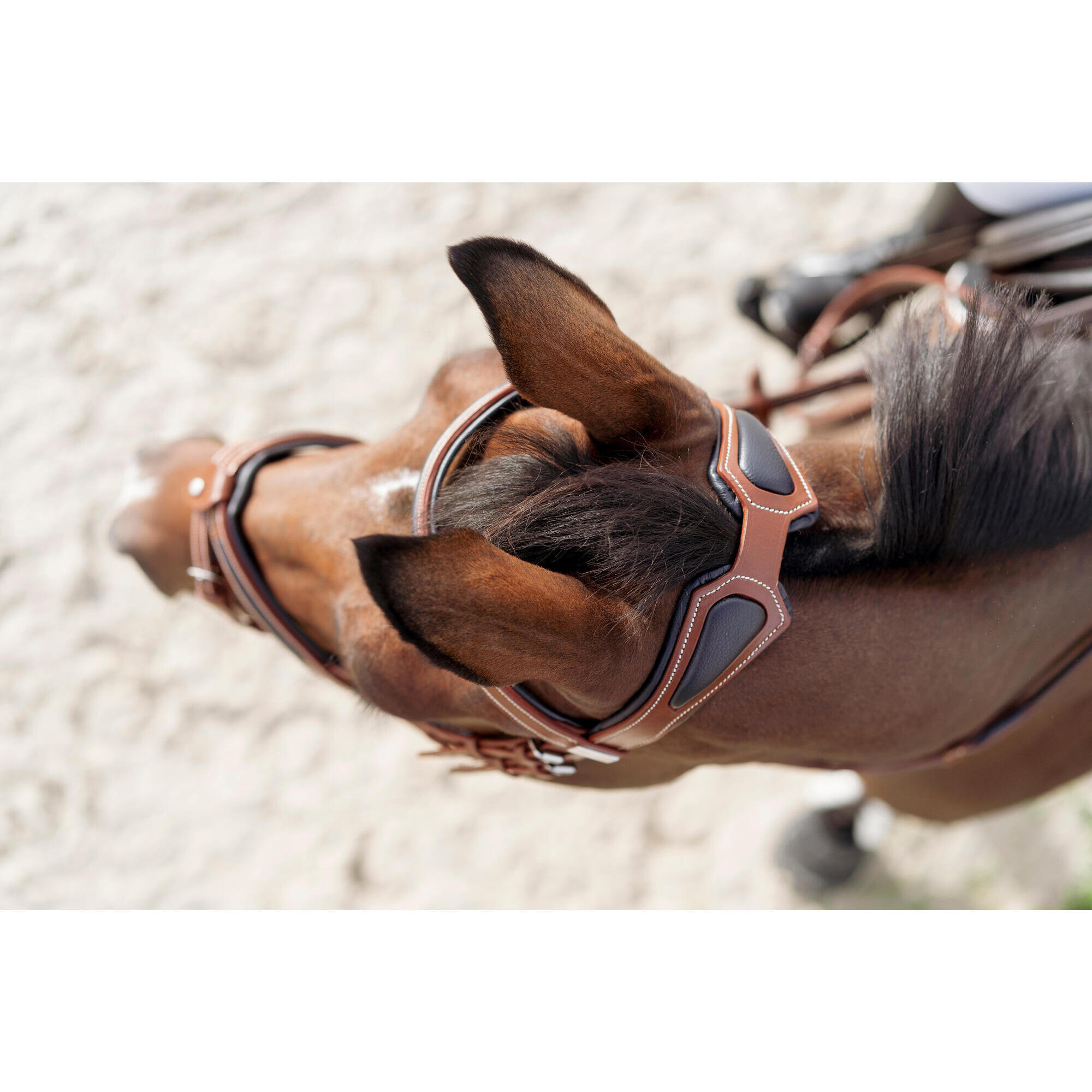 Horse and Pony French noseband leather riding net - 900 light brown