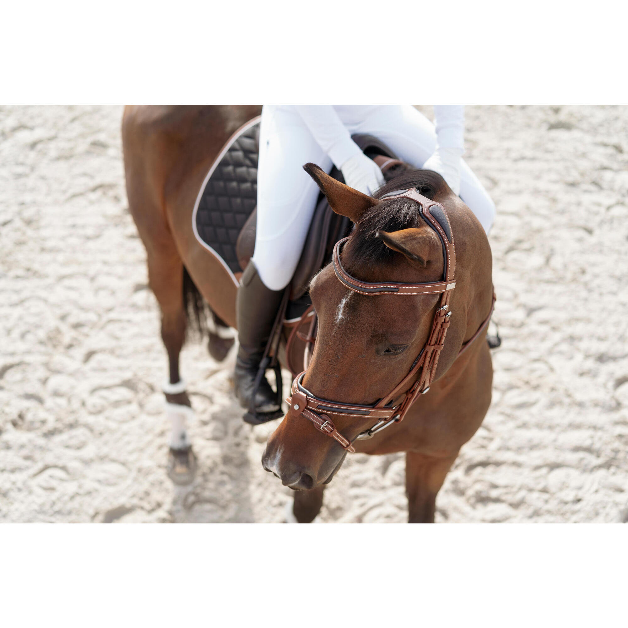 Horse and Pony French noseband leather riding net - 900 light brown