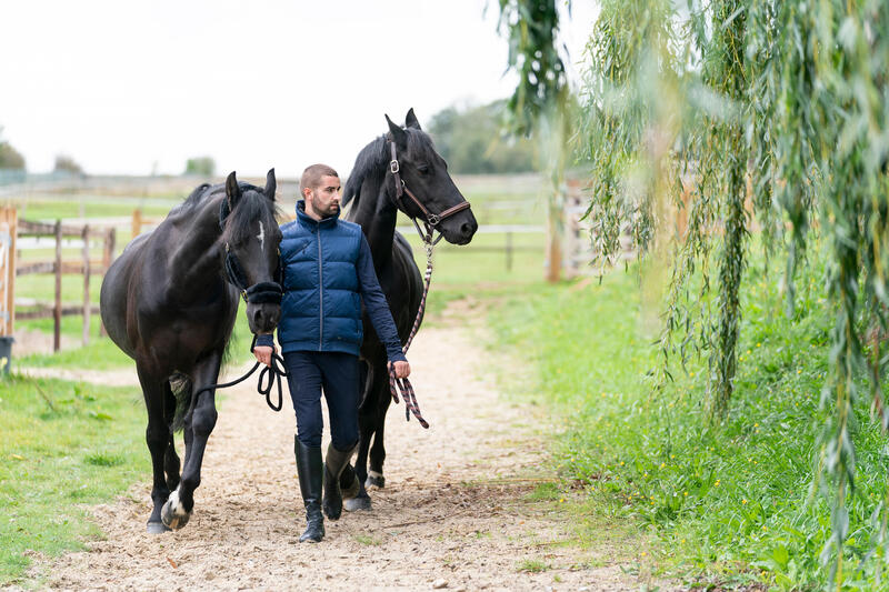 Mettre son cheval au pré