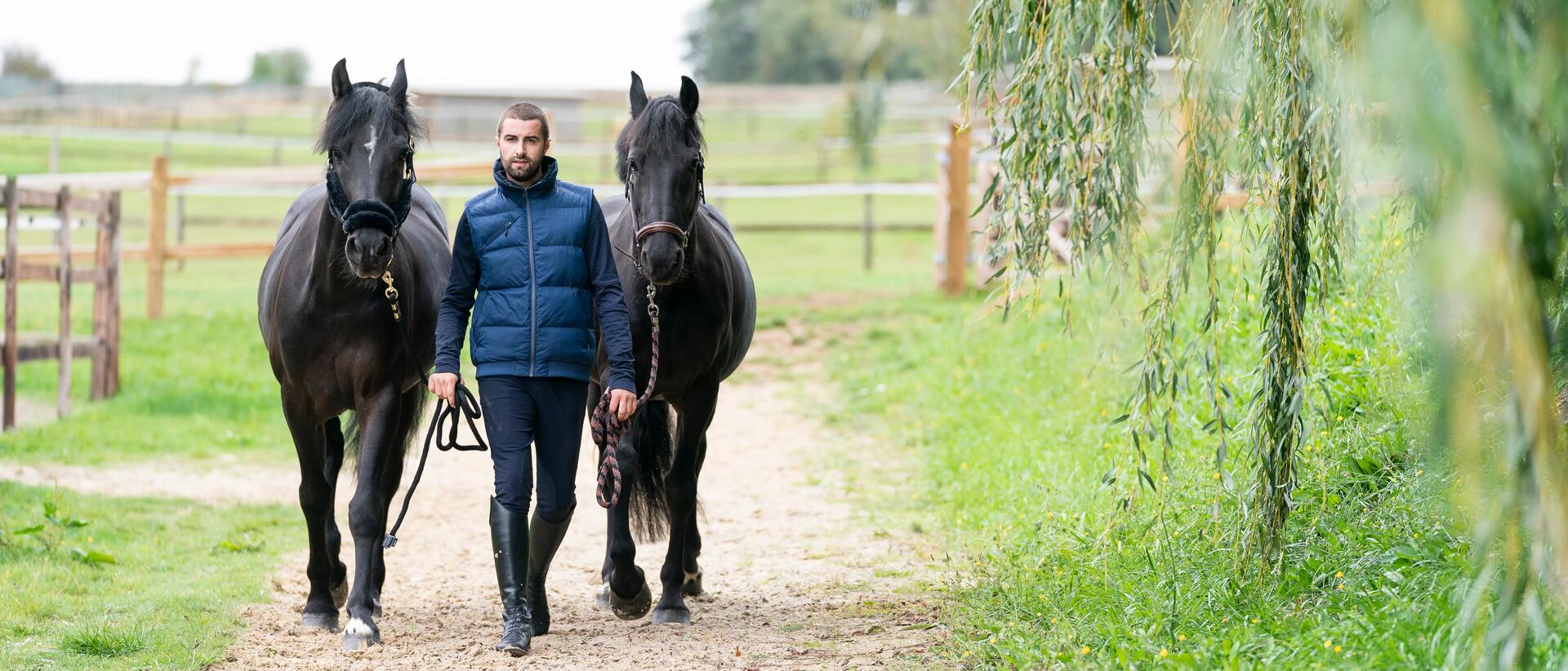 Existe-t-il un mode d’hébergement parfait pour mon cheval ?