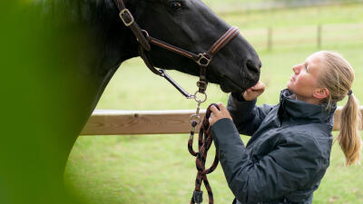 banner_hebergement_cheval.jpg