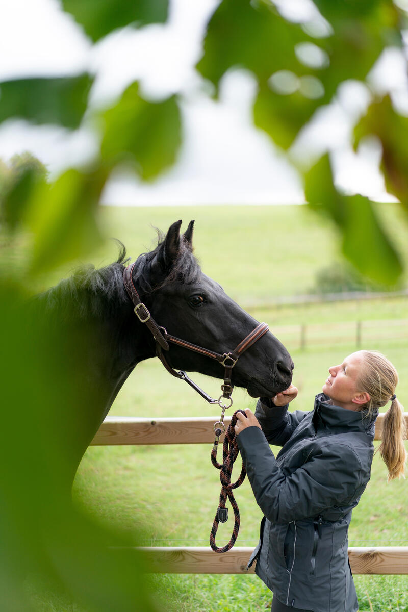 Bestaat de perfecte plaats om je paard te stallen?