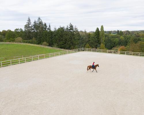 EQUITATION : QUEL ÉQUIPEMENT POUR DÉBUTER?