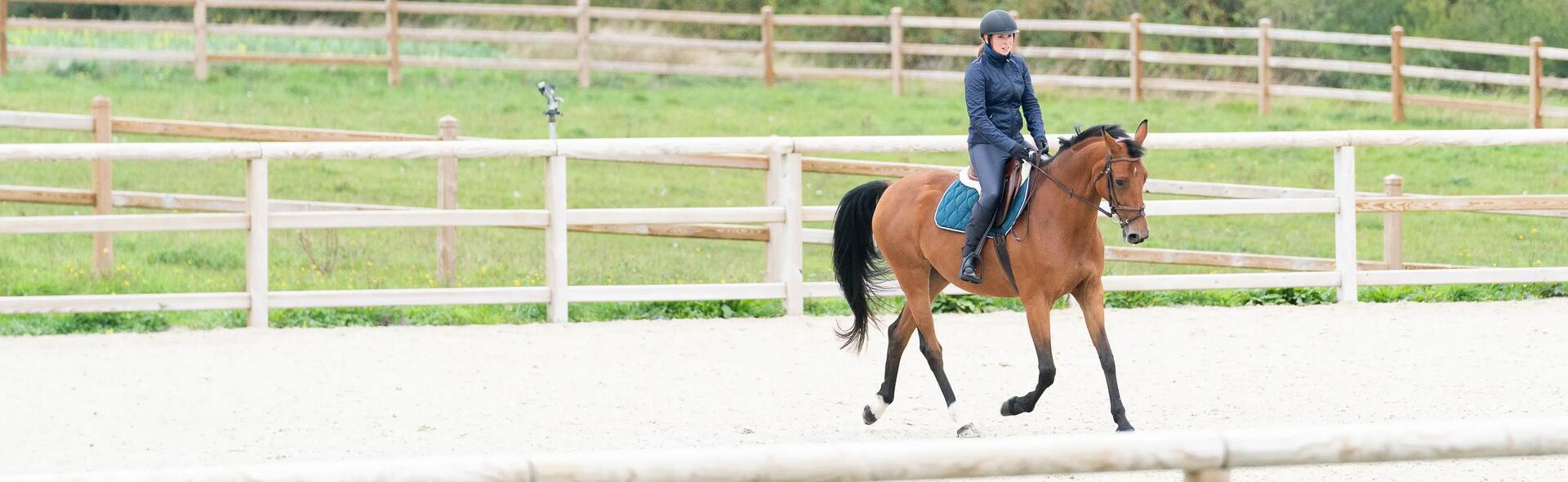 Découvrez les exercices pour assouplir votre cheval