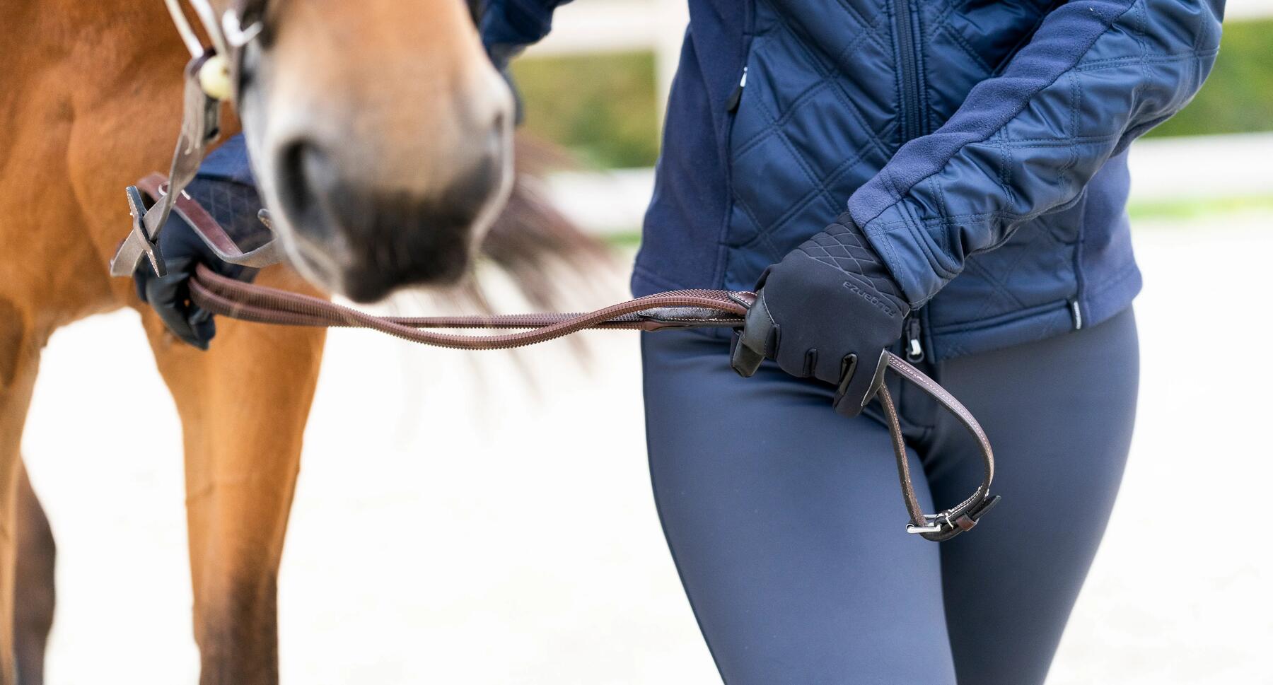 Frau geht mit Pferd auf einer Pferdekoppel