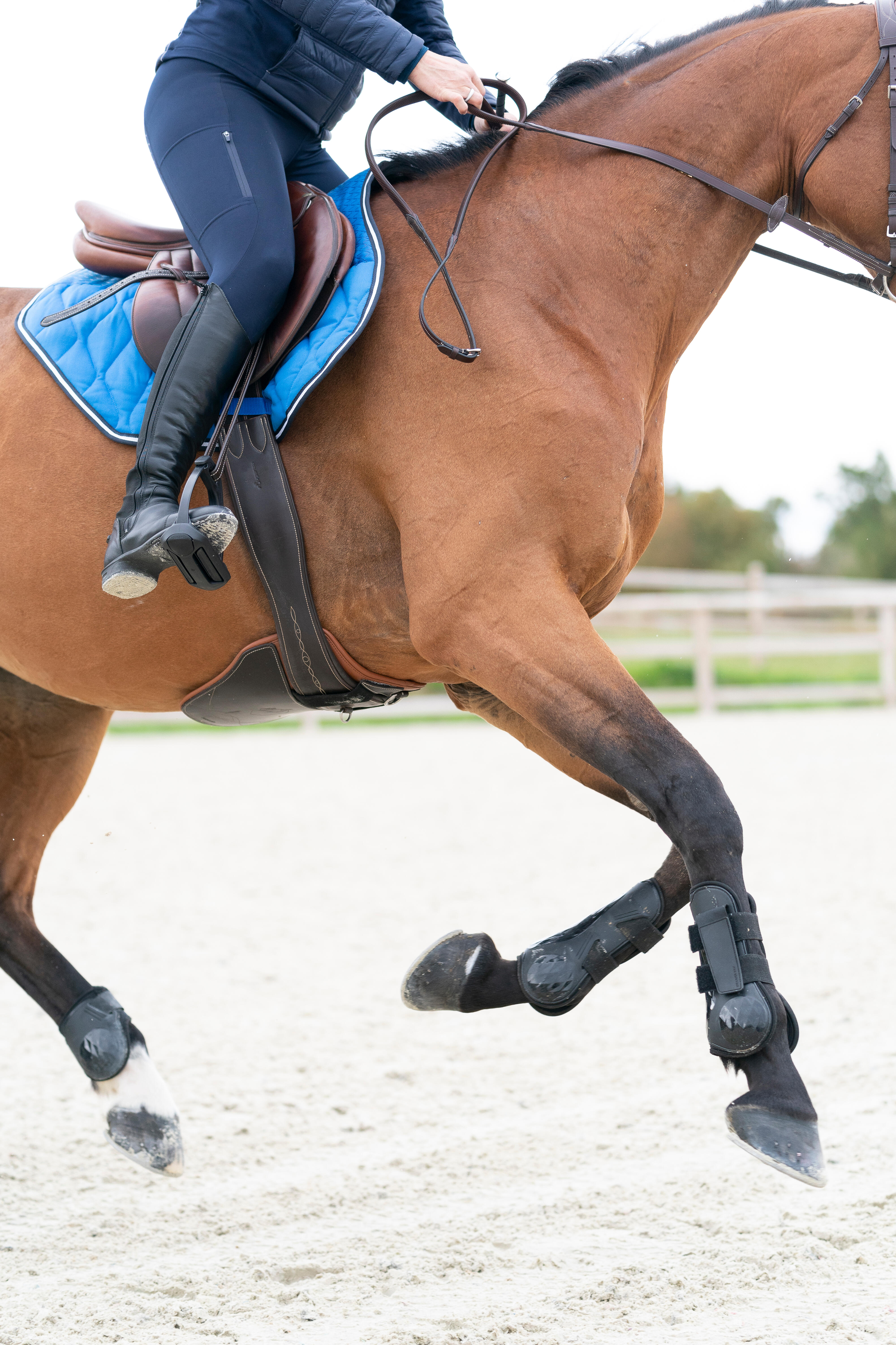 Women's Horse Riding Full Grip Leggings - 500 Blue - Asphalt blue