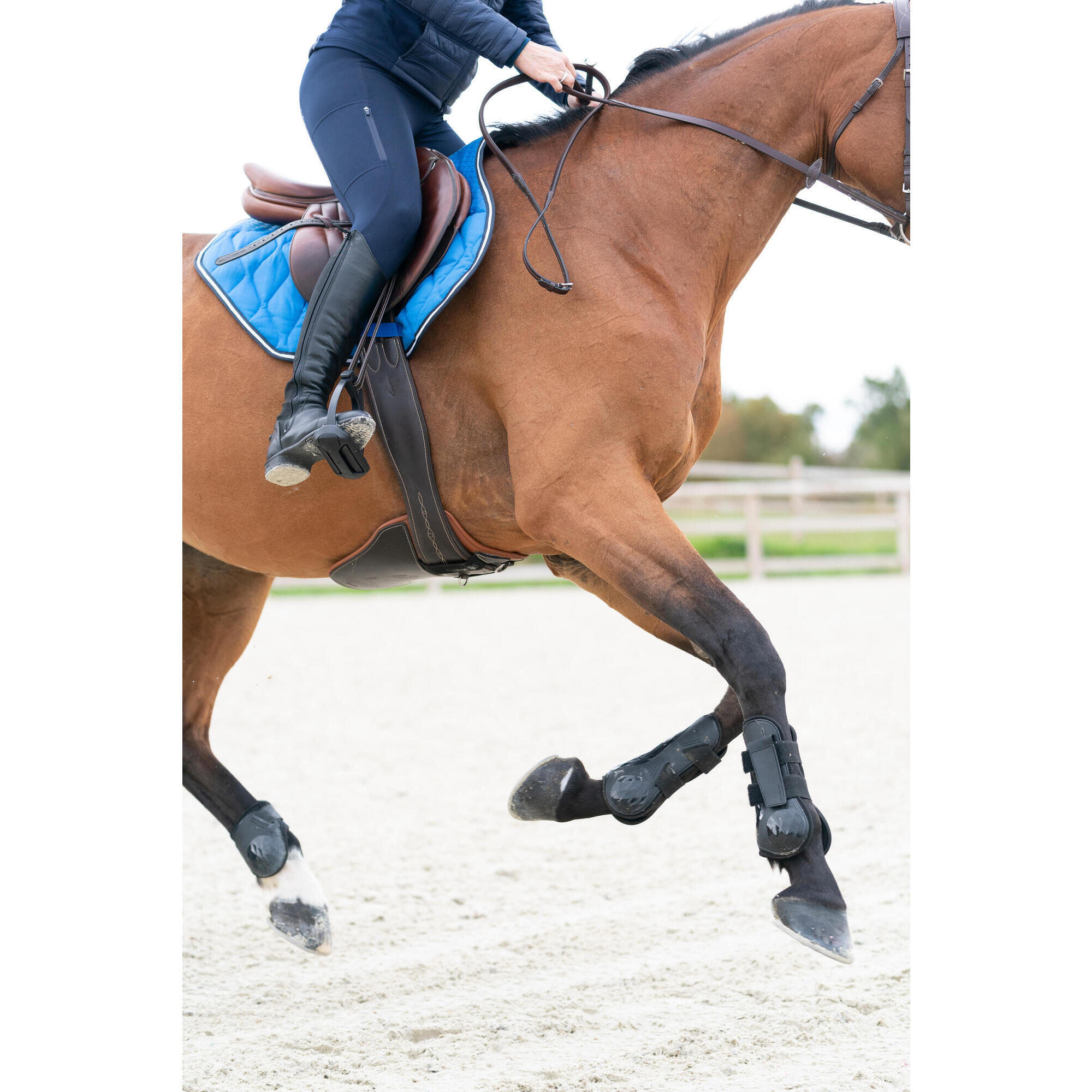 Leggings da equitazione full grip da donna - 500 navy