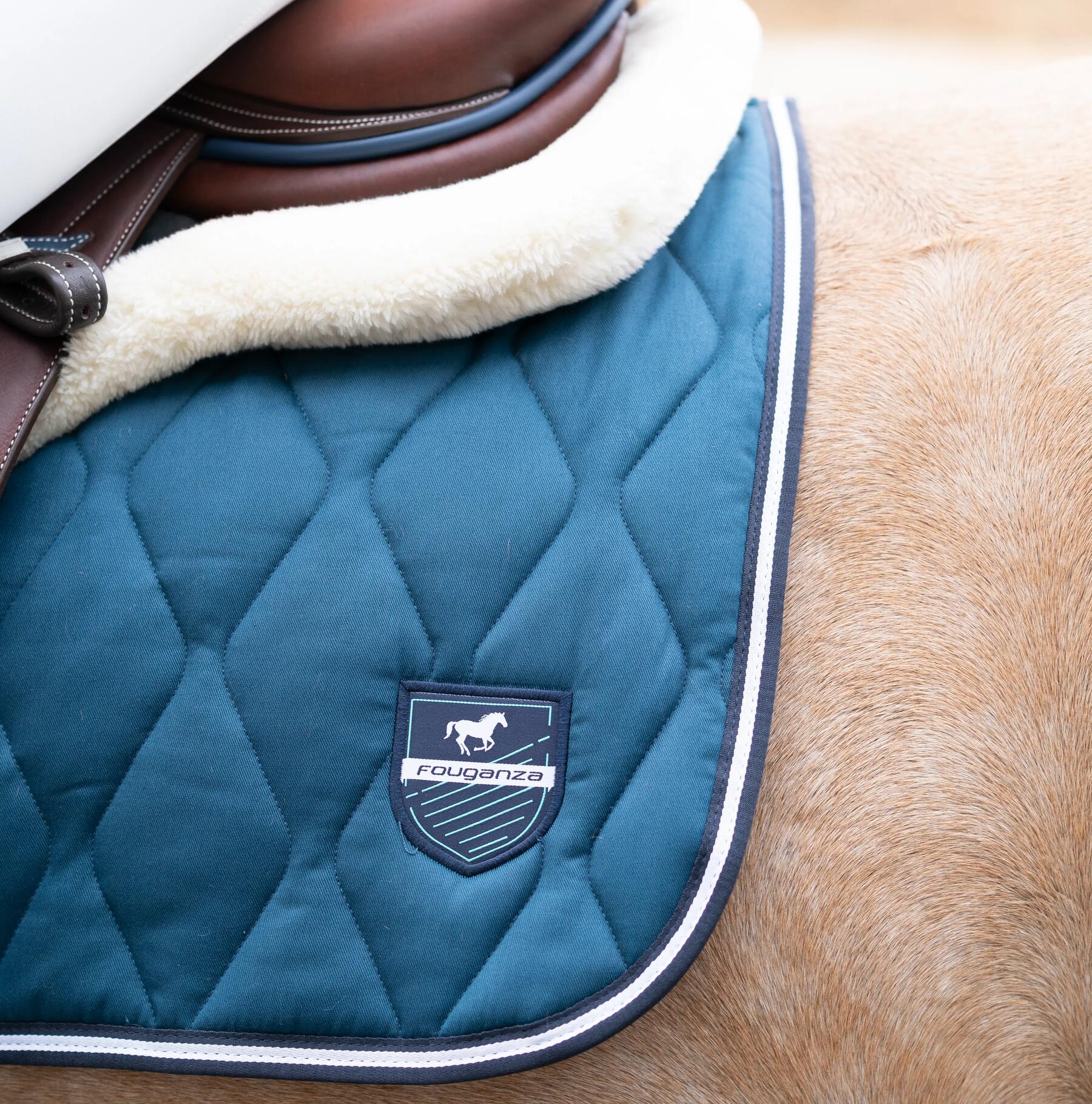 hebergement_cheval_box