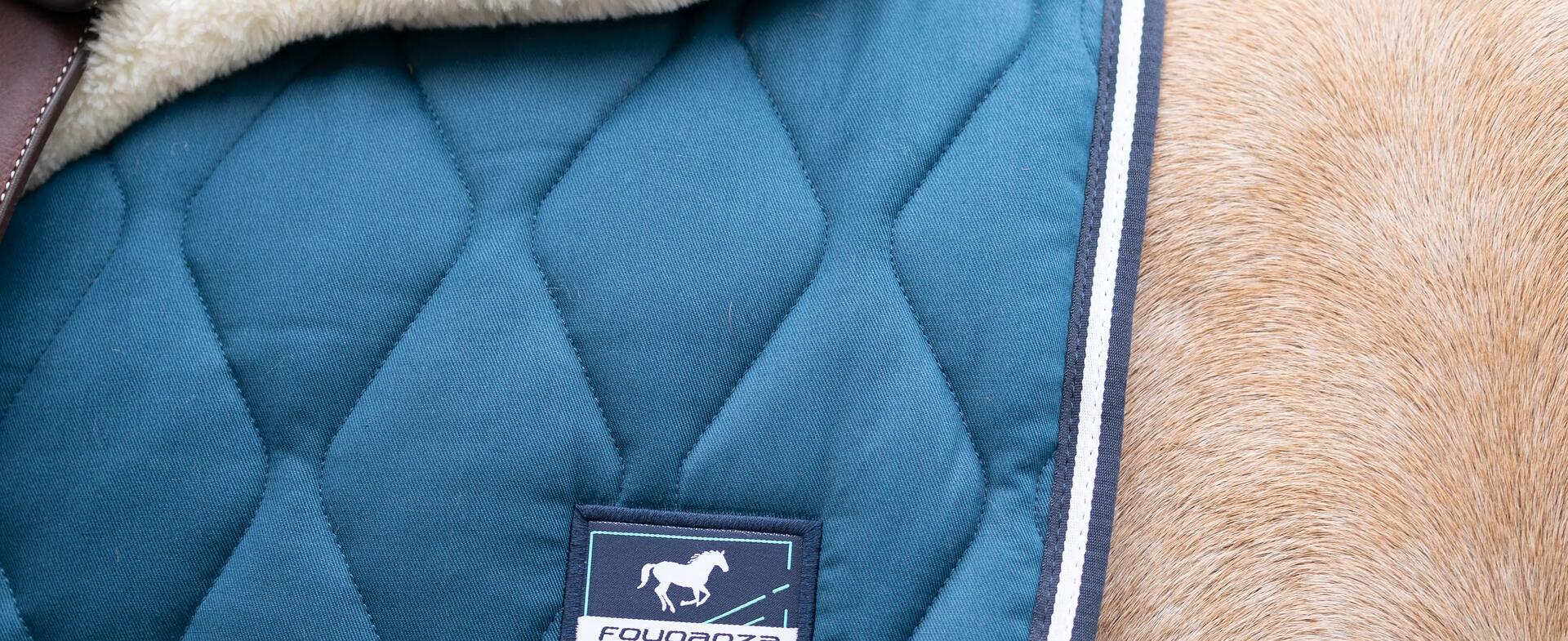 paard in de weide met een deken