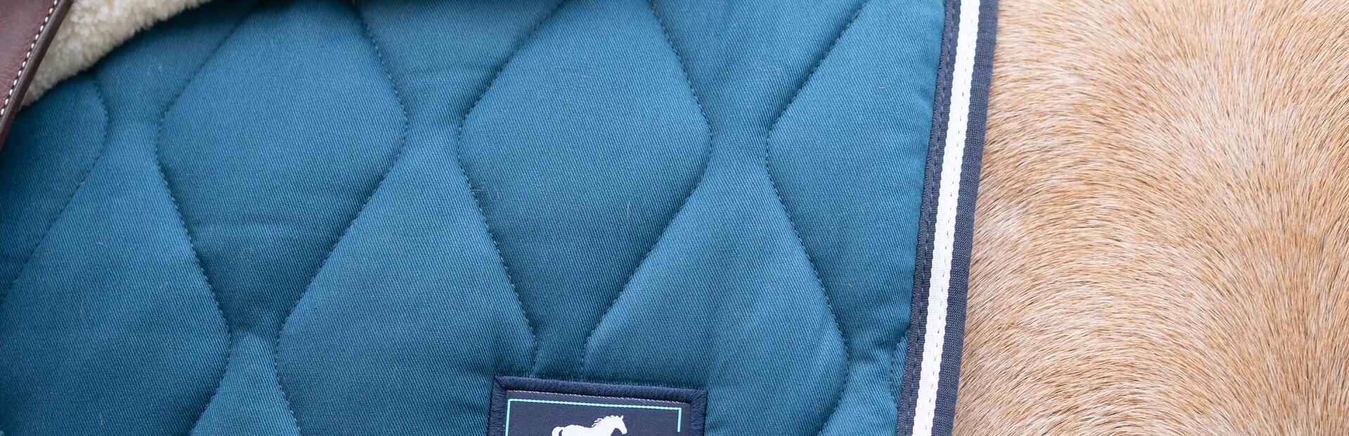 een paard vervoeren