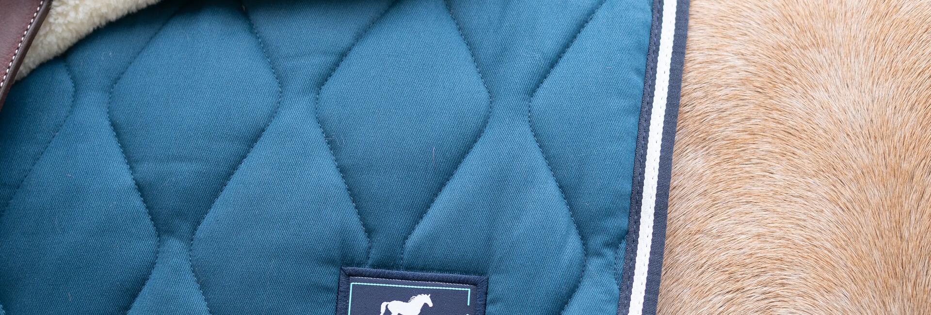 vertering van het paard