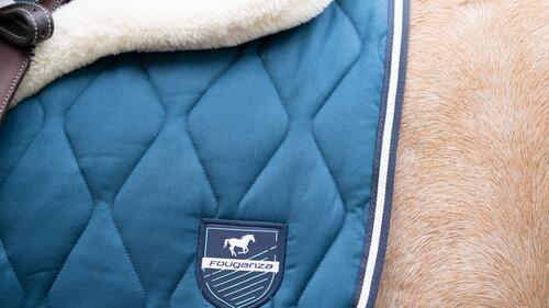 paard in galop