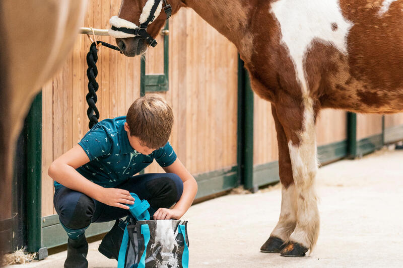 Zestaw do pielęgnacji konia dla dzieci 5 elementów