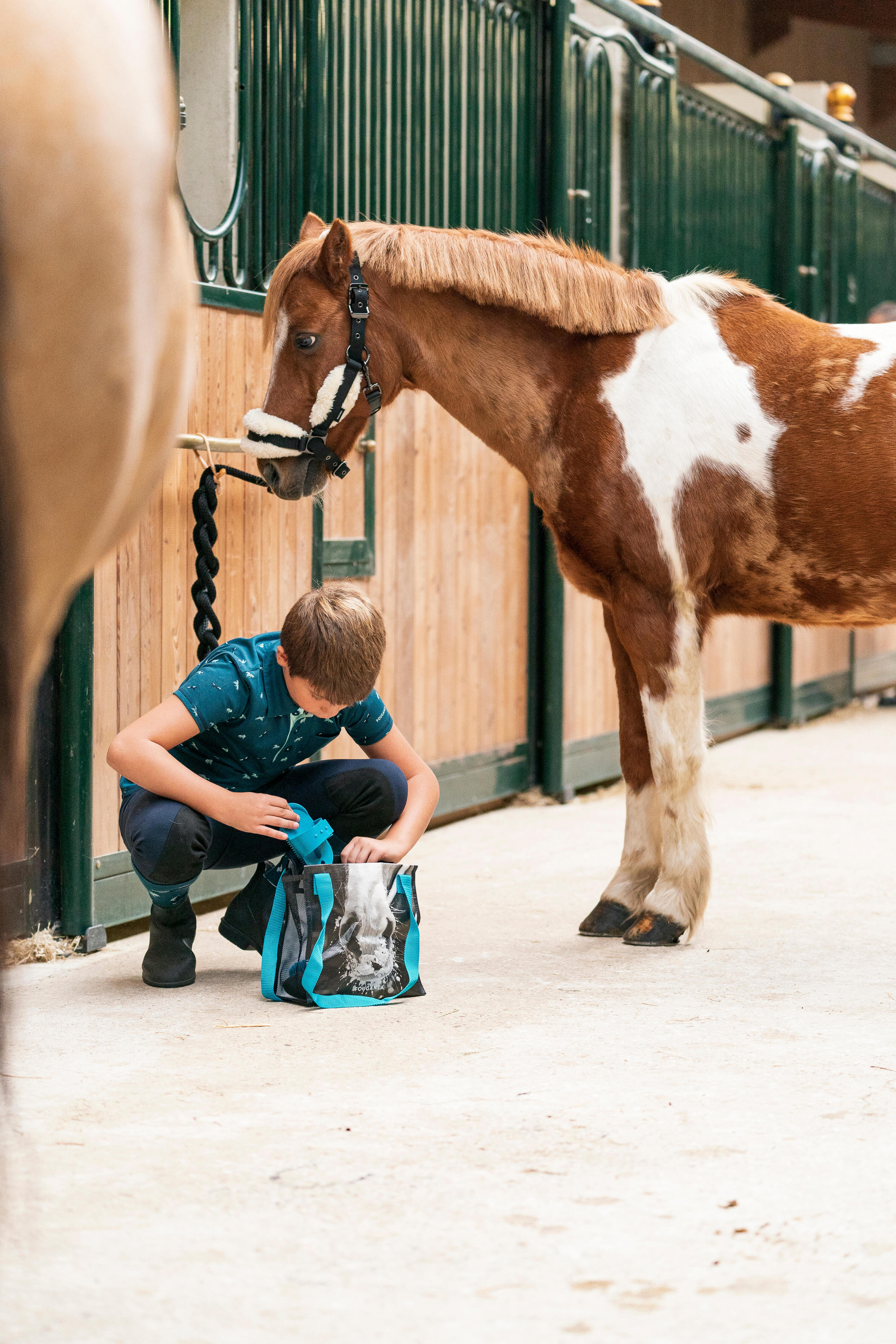 Kit de pansage équitation enfant BLEU 10/10