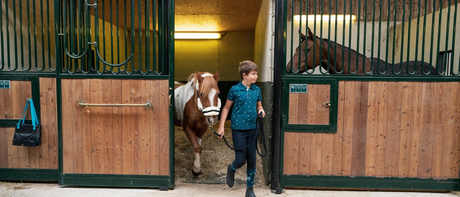 Bestaat de perfecte plaats om je paard te stallen?