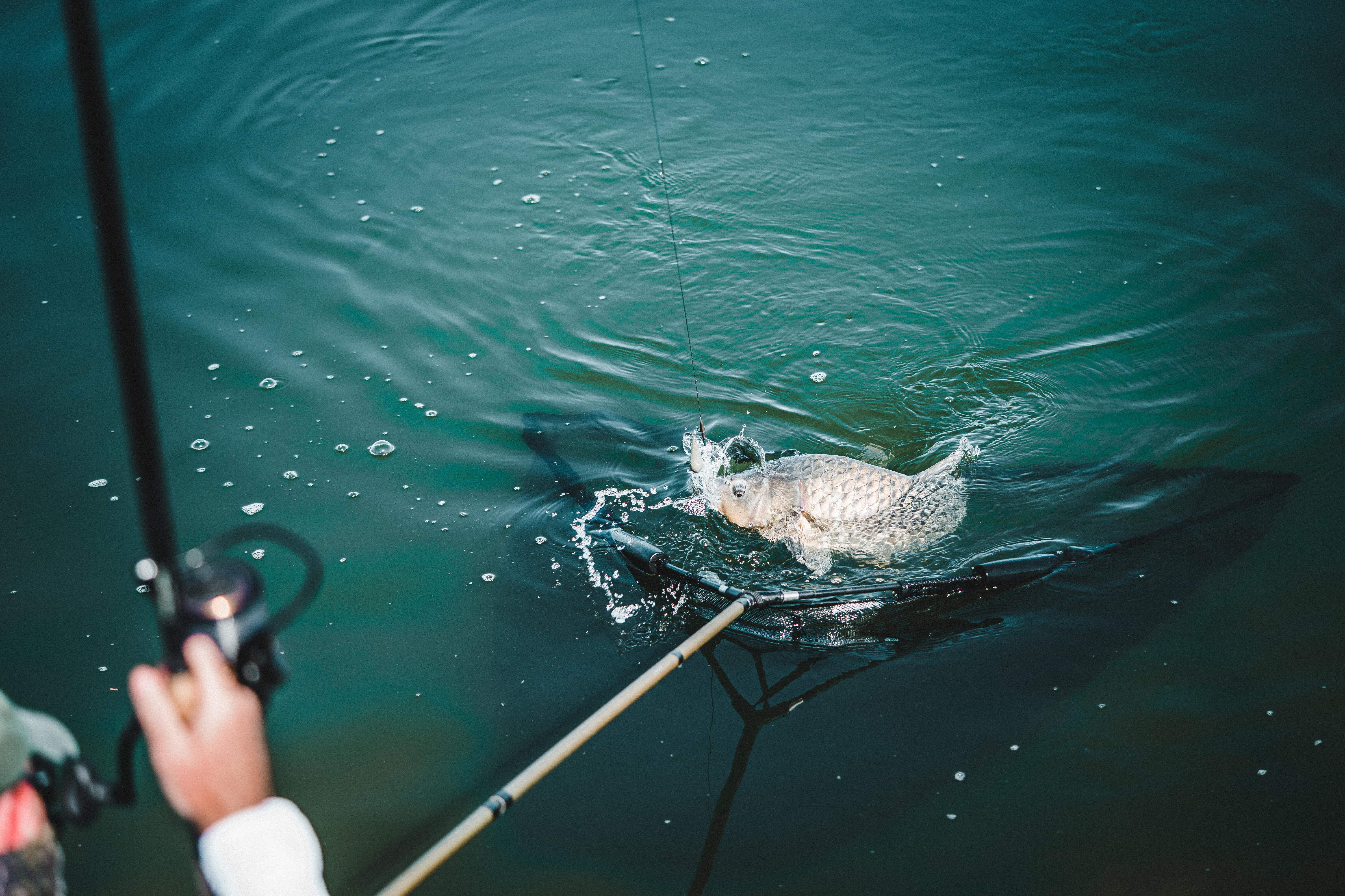 fishing tackle klarna