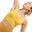 Seamless Long Dynamic Yoga Sports Bra - Yellow/Silver