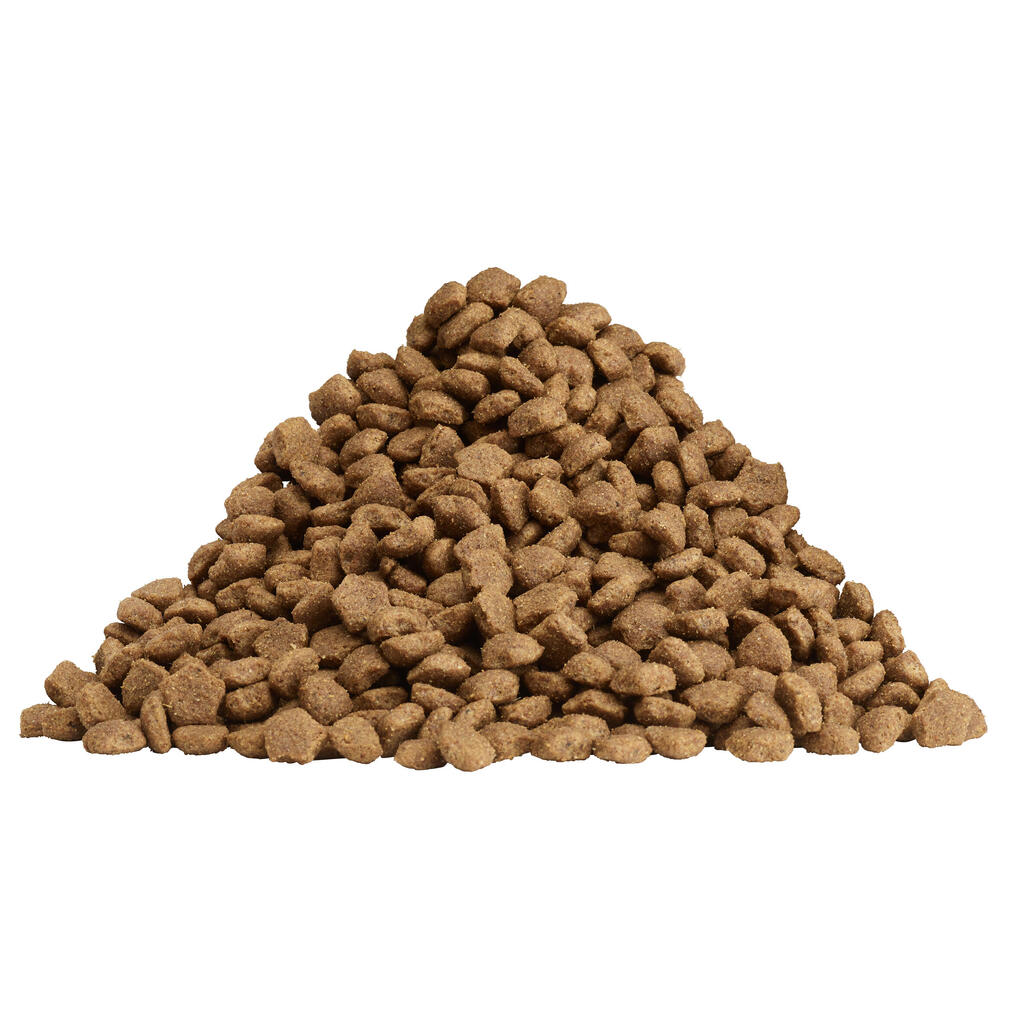 Pasja hrana z okusom piščanca DOG CHOW ACTIVE