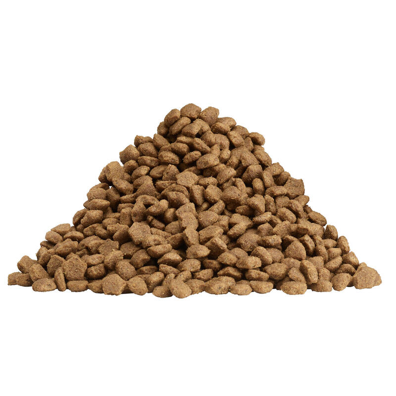 Kuřecí granule pro dospělého aktivního psa Dog Chow 14 kg