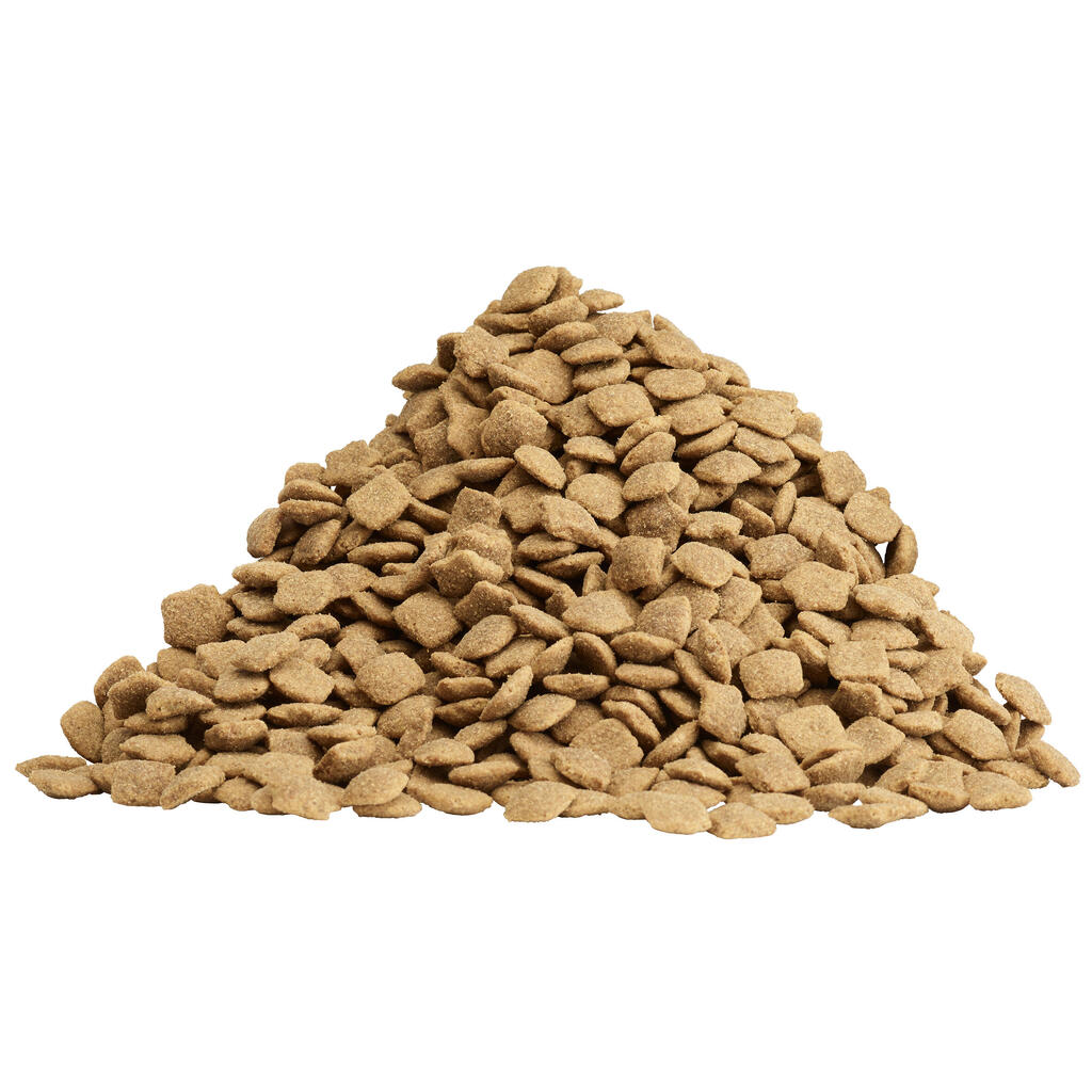 Granuly – suché krmivo pre dospelých psov Dog Chow Mature s obsahom kuraciny