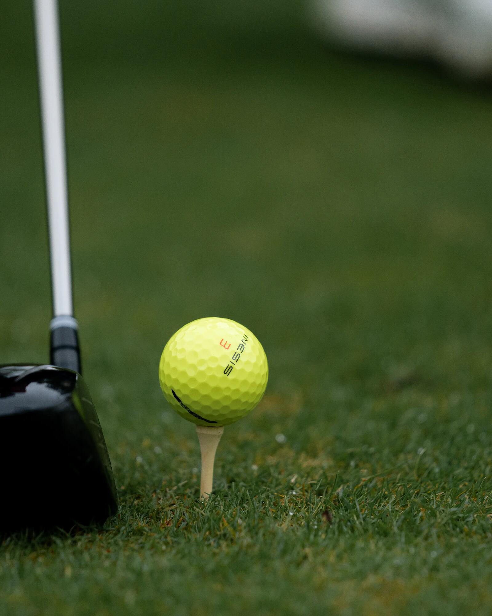 Golf tees