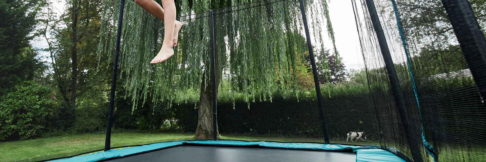 TRAMPOLIN