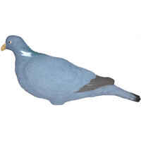 3D PIGEON DECOY 100