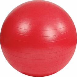 be bm gymball 55cm