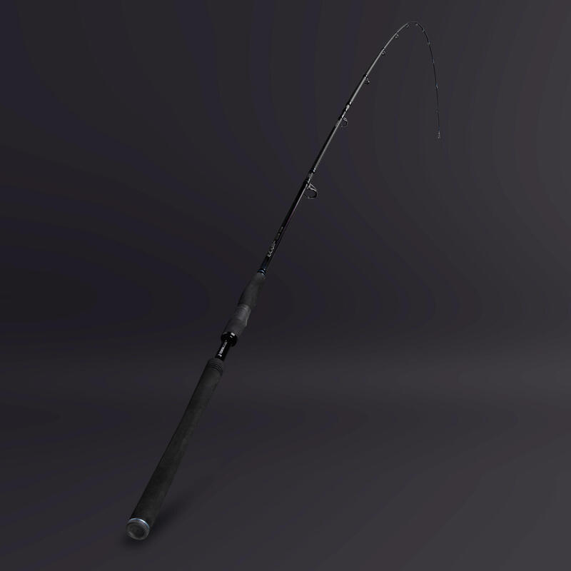 Canna pesca tenya ILICIUM-500 250 