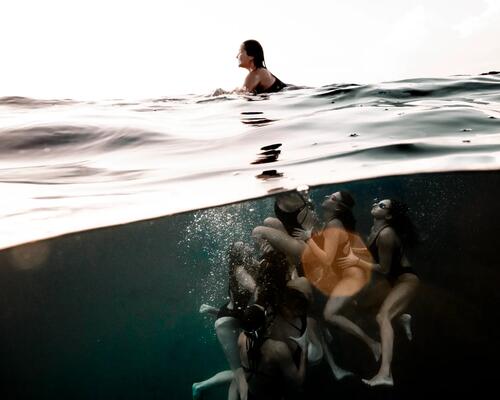 Photo plongée avec requins à pointe noire