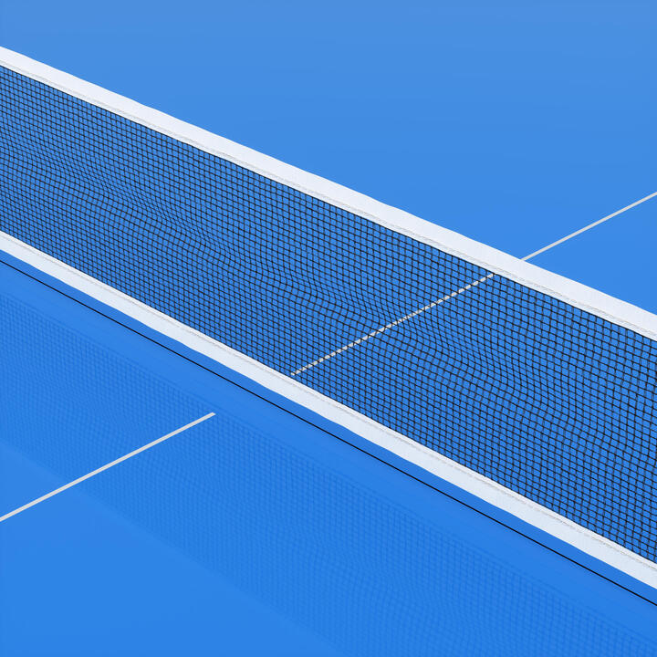 Outdoor Table Tennis Table PPT 130 Blue PONGORI Decathlon
