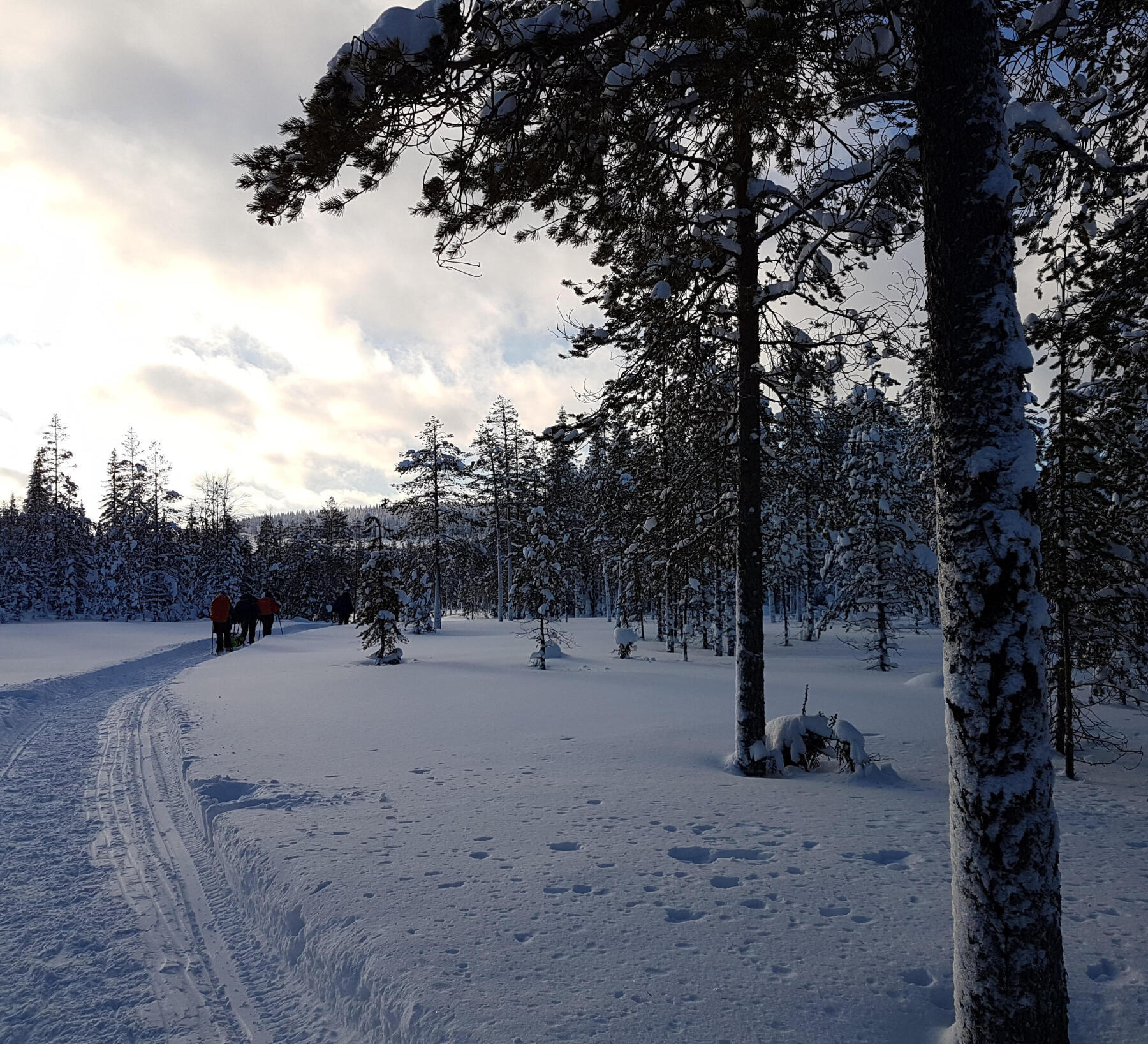 cross-country skiing as a family
