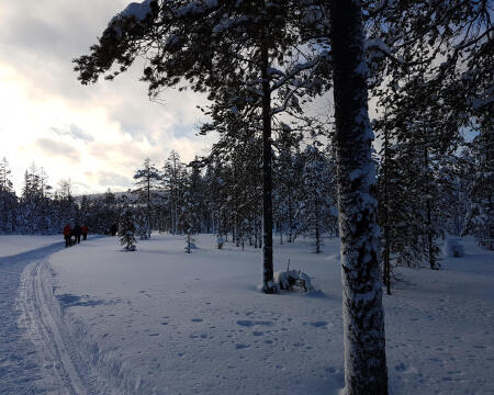 Trekking en février