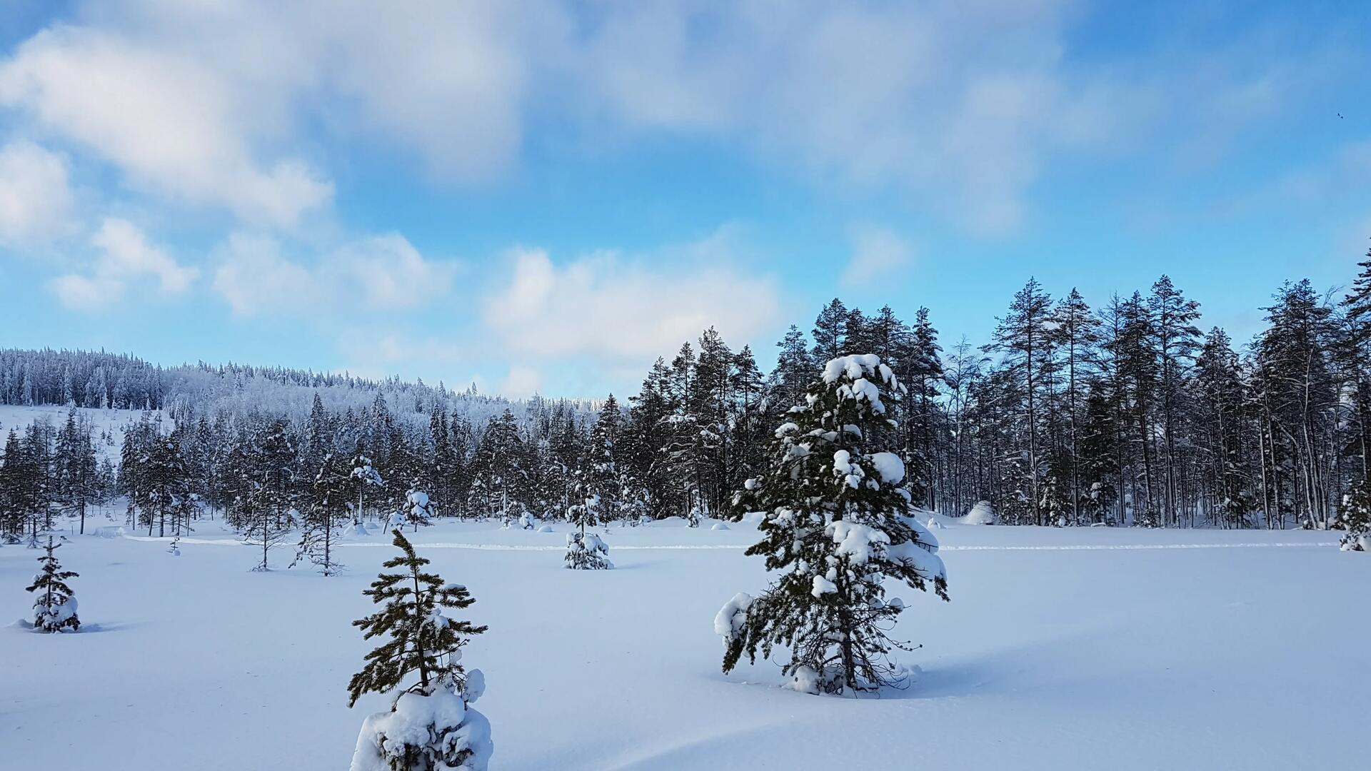 4 Nordic ski areas to explore in the Jura