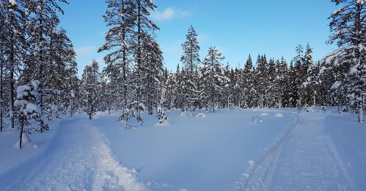 4 Nordic ski areas to explore in the Jura