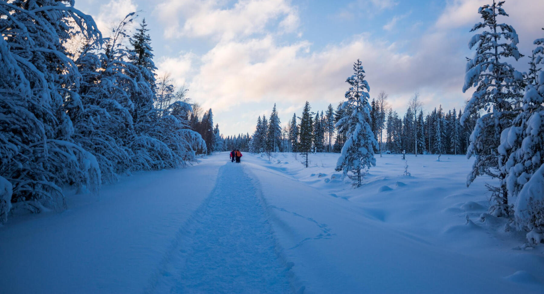 Cross-country skiing