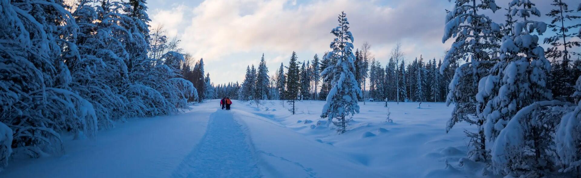 Où voyager en janvier ? Notre sélection de treks